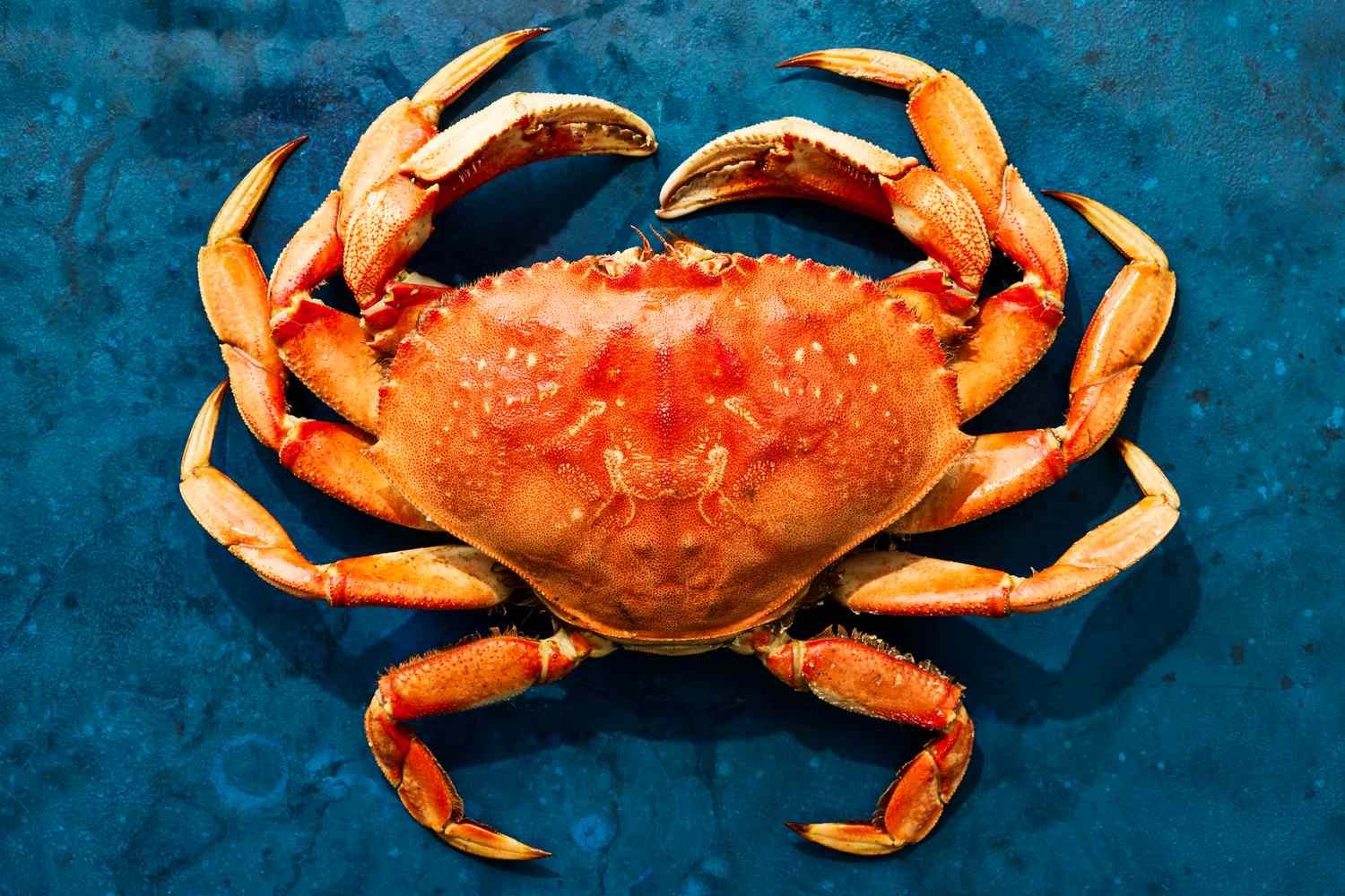 Why Dungeness Crab is the Crown Jewel of Seafood
